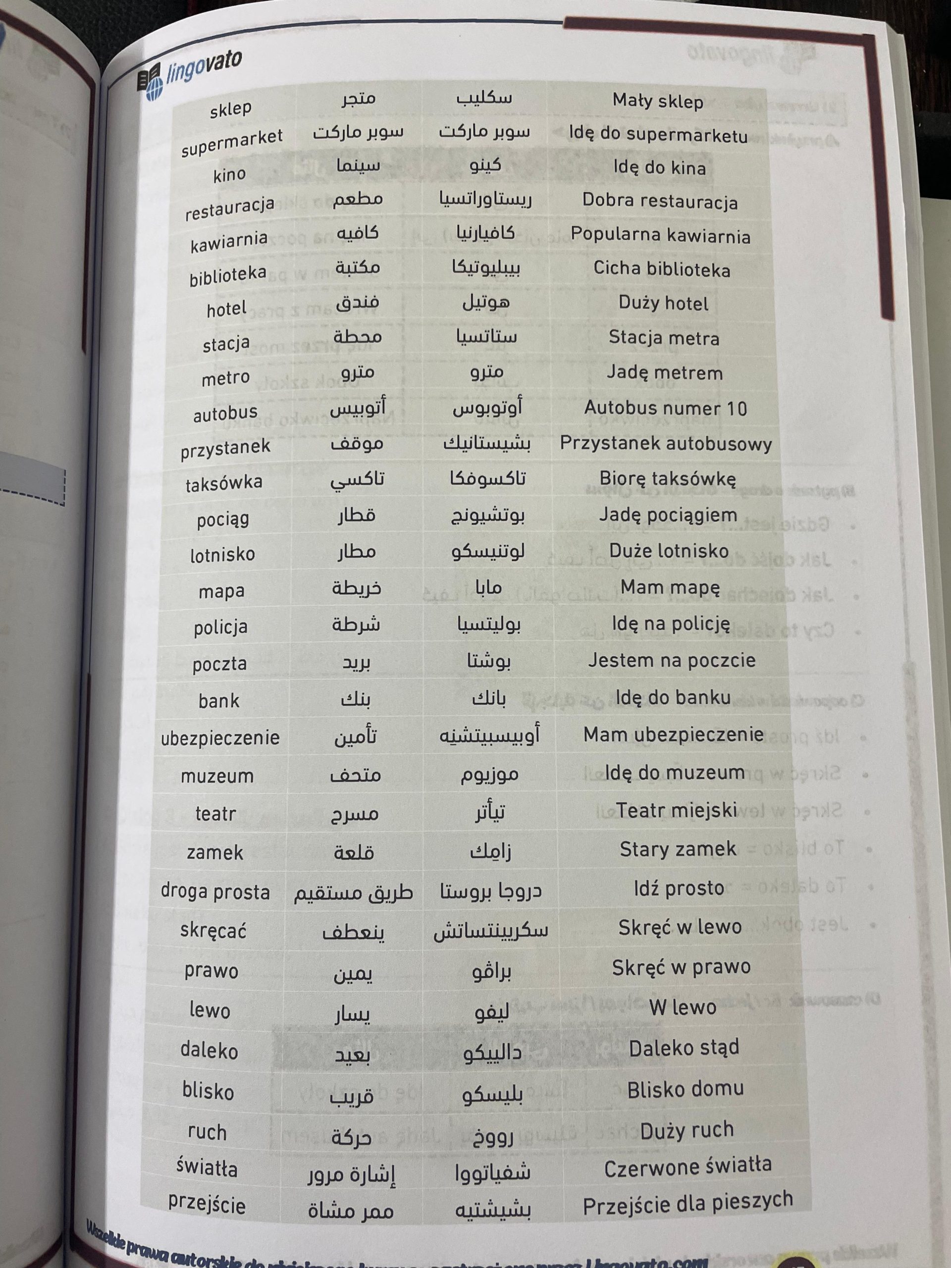 Lingo Polish 1 - الصورة 4