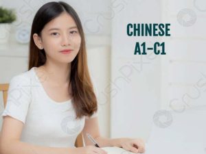 Chinese Perfect Reading