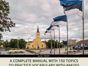 Vocabulary Practice - Estonian