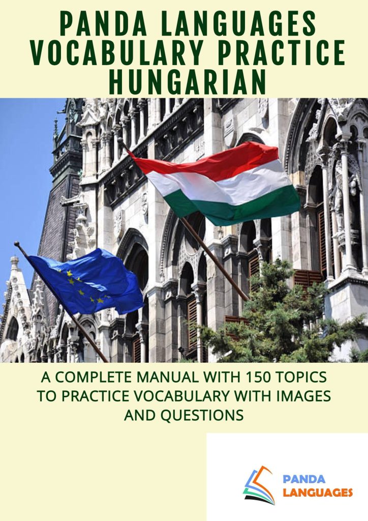 Hungarian Vocabulary Practice