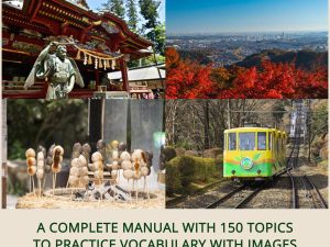 Japanese Vocabulary Practice
