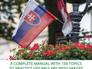Slovakian Vocabulary Practice