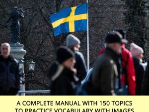 Swedish Vocabulary Practice